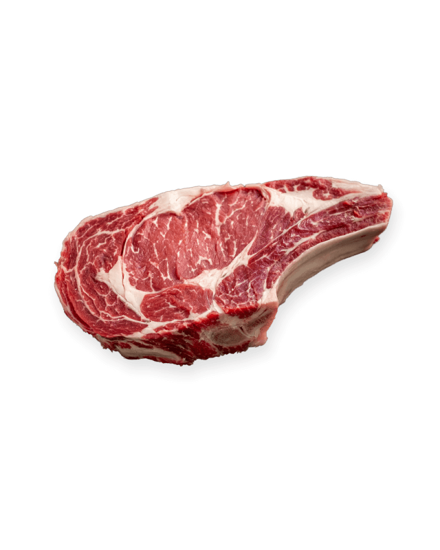 Bift.CoteRibAAA+(1")