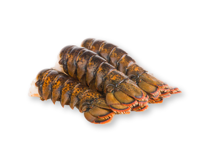 Homard Queue 3-4 oz (+/- 18 un)