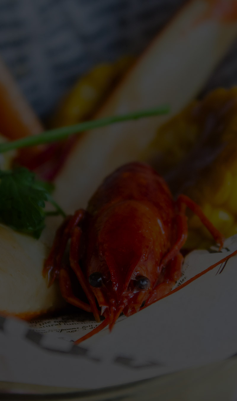 Alimentation Mon Quartier