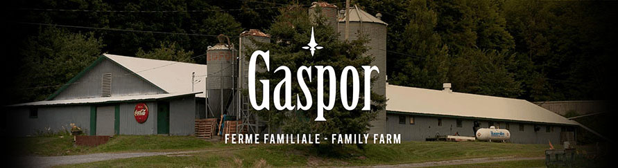 Alimentation Mon Quartier