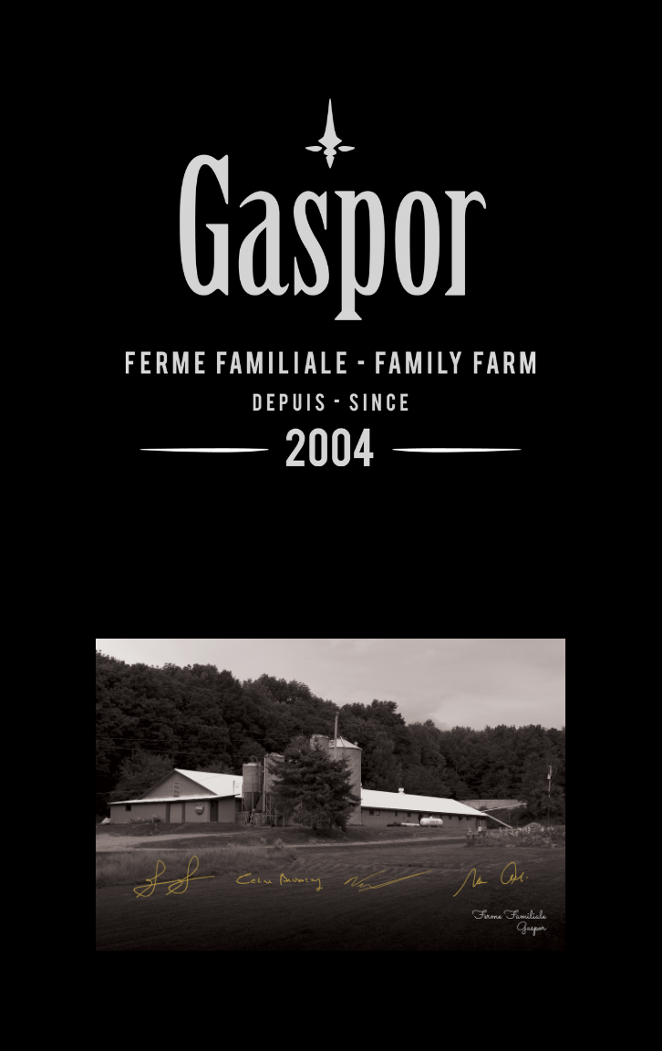 Gaspor